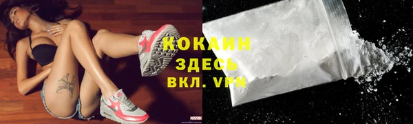 молекула духа Михайловск
