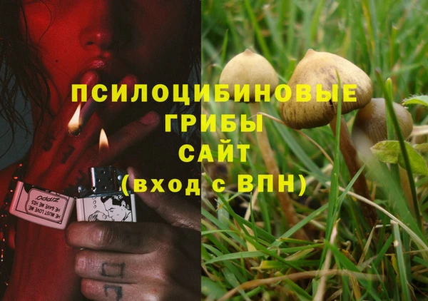 хмурый Михайлов
