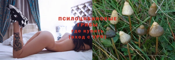 хмурый Михайлов
