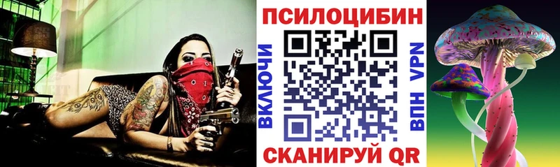 цена   Райчихинск  Галлюциногенные грибы Cubensis 
