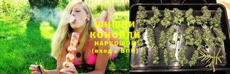 Марихуана конопля  как найти закладки  Райчихинск 